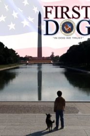 Un chien à la Maison Blanche
